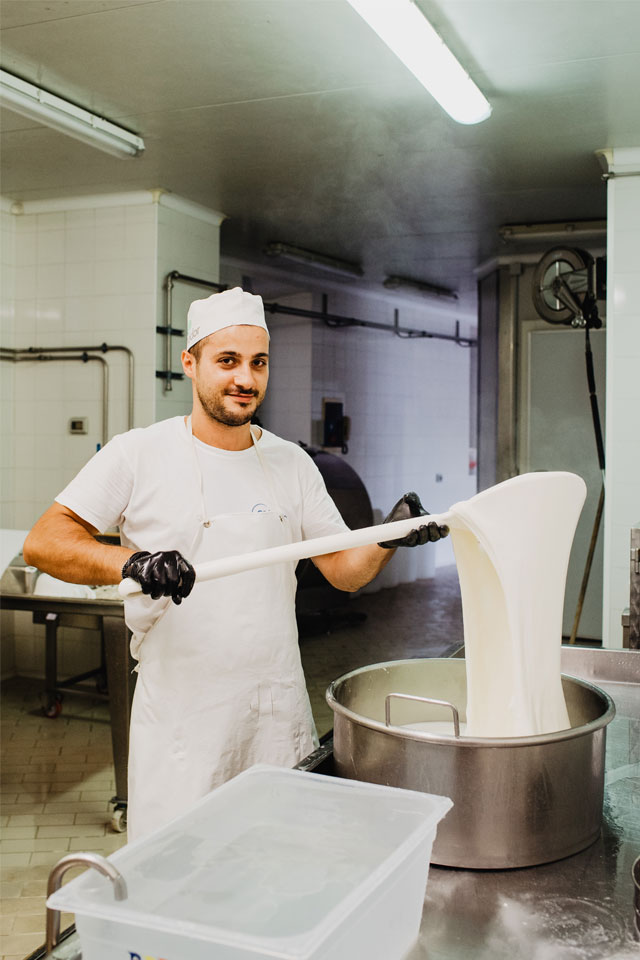 servizio fotografico per produzione artigianale di formaggi freschi e stagionati